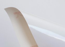 RI-JET 100 AVM PVC White Gloss AR