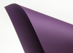 Plike purple