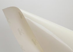 RI-JET 205/80 PVC Clear Gloss AP