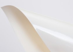 RI-1900/50 PVC White Gloss UltraDestructible ASP