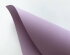 preview Creative board orchid